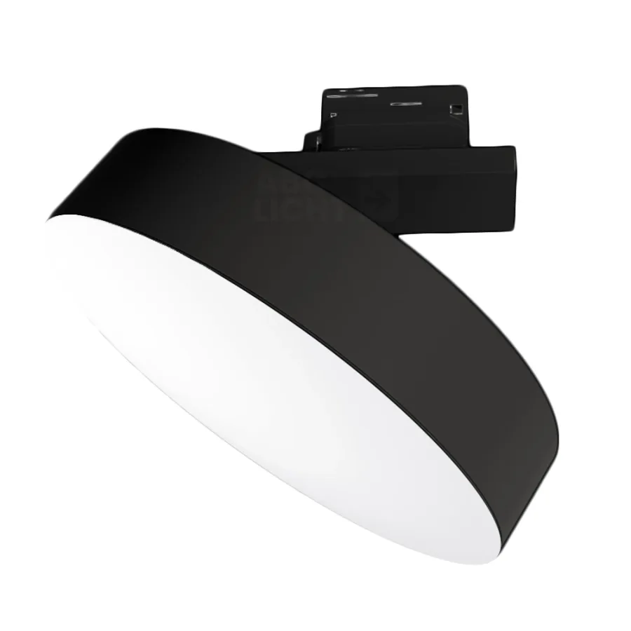 Lippe zwarte 3-fase railspot met noodunit en sensor