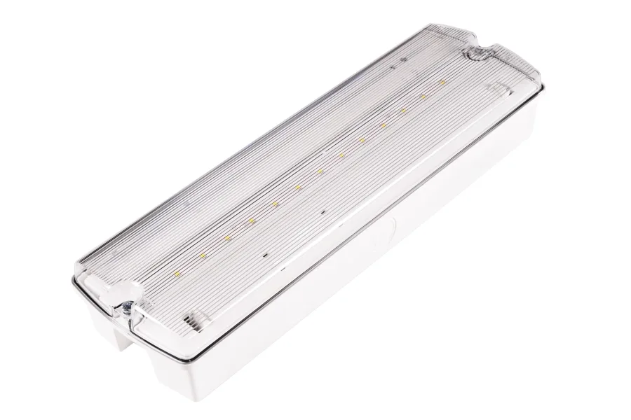 ORION II 250 CB | Noodverlichting centrale batterij