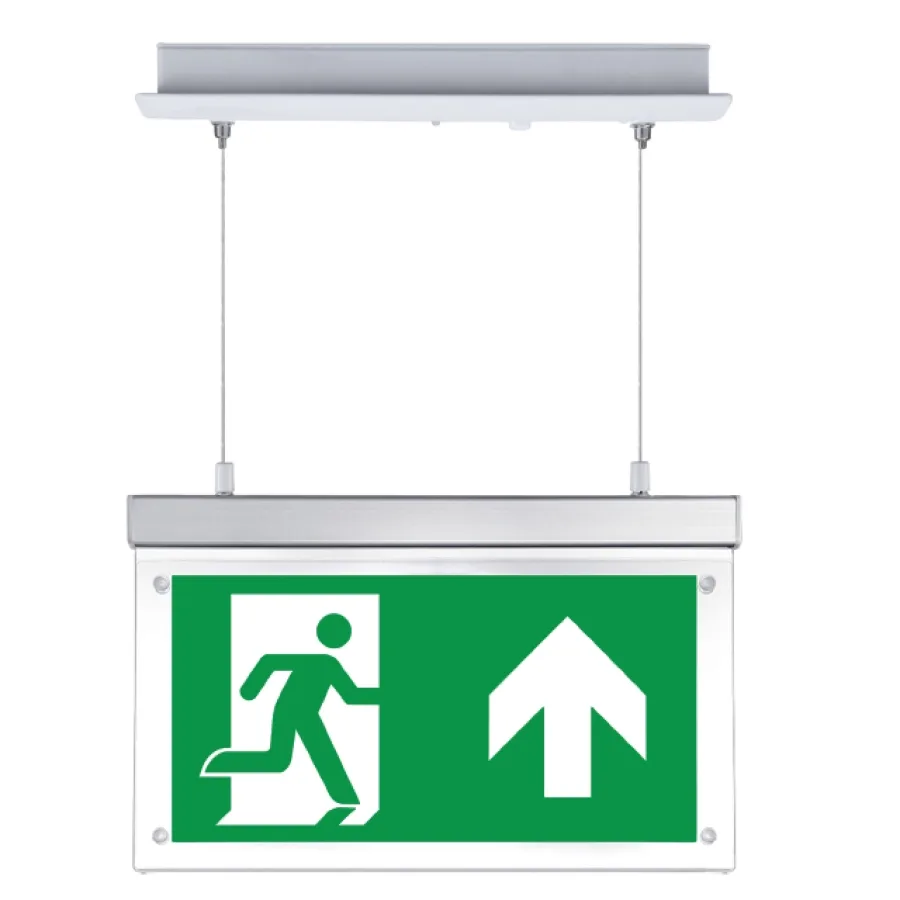 Leine inbouw - Vluchtwegverlichting