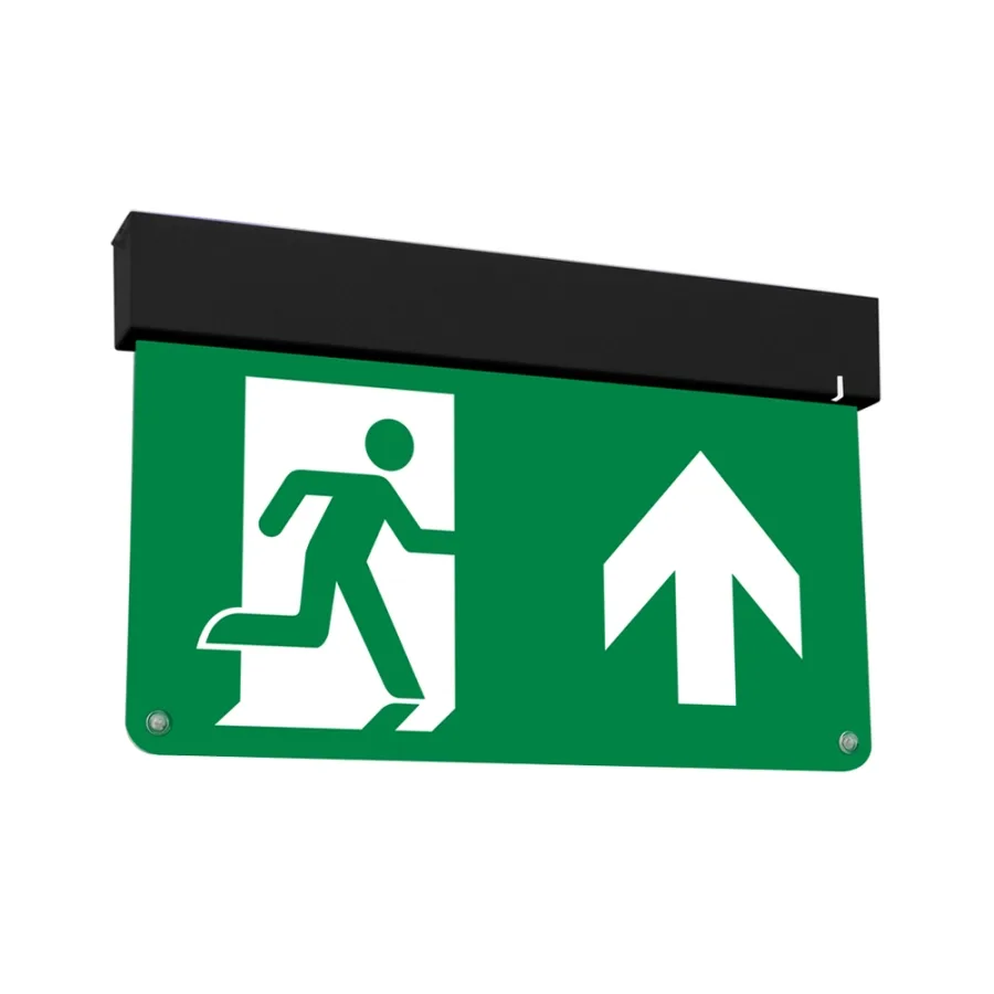 Ems Mini ST zwart | Vluchtwegverlichting