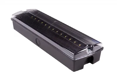 ORION II 400 CB zwart | Noodverlichting centrale batterij