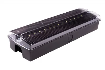 ORION II 250 CB zwart | Noodverlichting centrale batterij