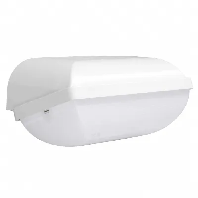 Ibiza 3CCT LED portiekarmatuur met noodunit | 3 uur