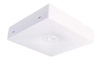 Starlet QUAD body 150 ST veiligheidsverlichting specialist