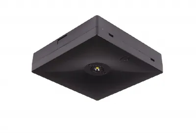 Starlet QUAD opbouw 250 ST BLK - Anti-paniekverlichting