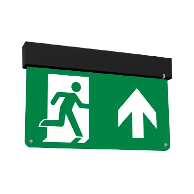 Ems Mini ST zwart | Vluchtwegverlichting